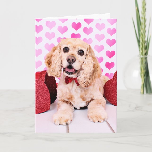 Cartão De Festividades Valentines - Cocker Spaniel - Duke (Frente)