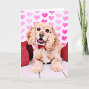 Cartão De Festividades Valentines - Cocker Spaniel - Duke