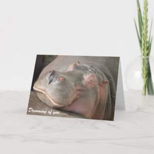 Cartão De Festividades Valentine's Day Card - Smiling Hippo