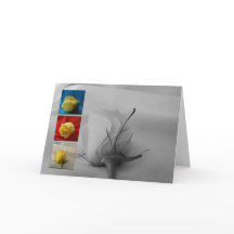 Valentine's Day Card-White Rose