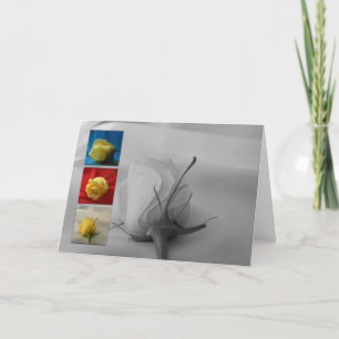 Cartão De Festividades Valentine's Day Card-White Rose