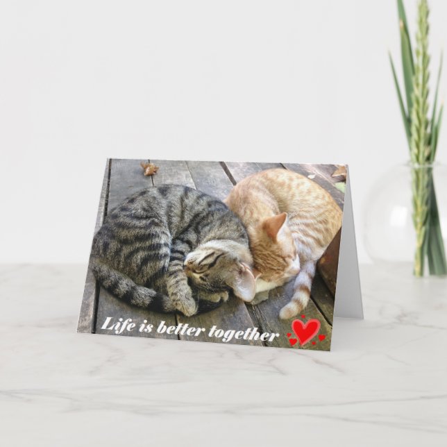 Cartão De Festividades Valentine's day card with cats - blank (Frente)