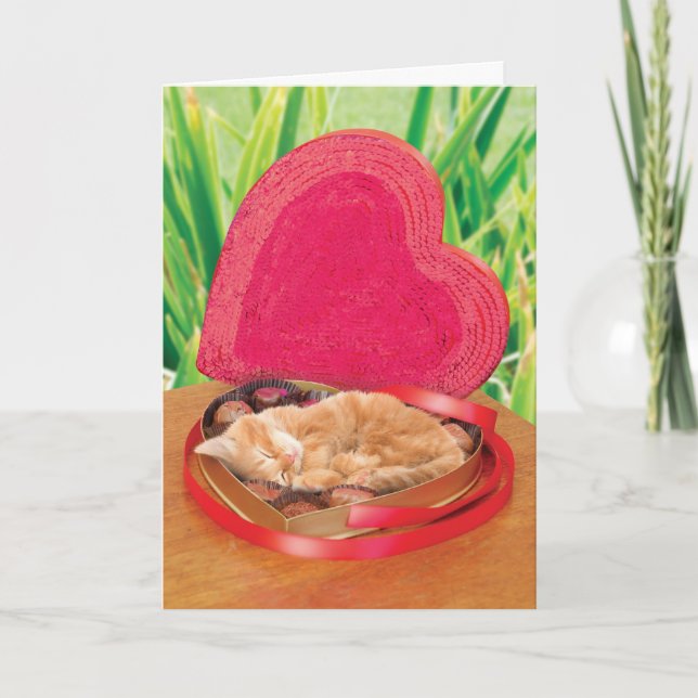 Cartão De Festividades Valentine's Day Cat Card Funny Cute Adorable Best (Frente)