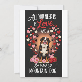 Cartão De Festividades Valentine's Day cute bernese mountain dog Photo  