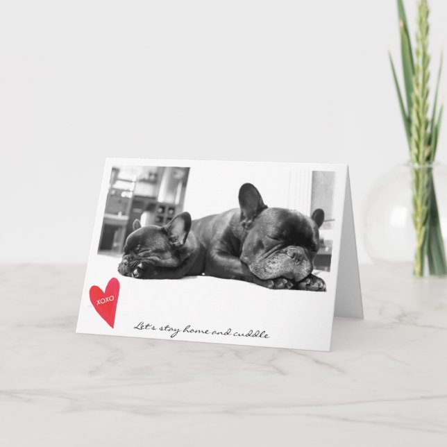 Cartão De Festividades Valentine's Day Cute French Bulldog Photo Cuddle (Frente)