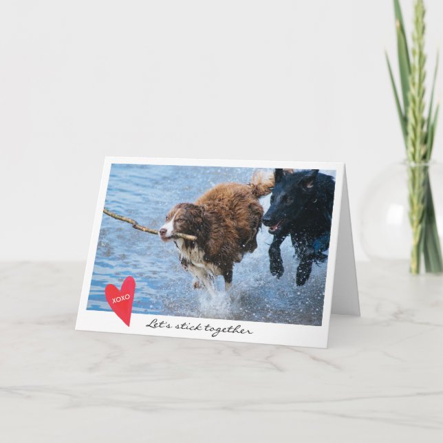 Cartão De Festividades Valentine's Day Dog Photo Let's Stick Together (Frente)