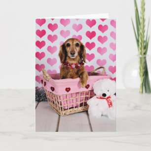 Cartão De Festividades Valentine's Day - Mollie - Dachshund