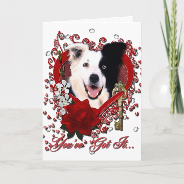 Cartão De Festividades Valentines - Key to My Heart - Border Collie (Frente)