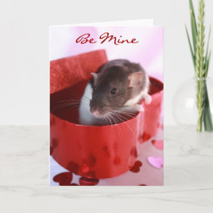 Cartão De Festividades Valentine's Rat Card
