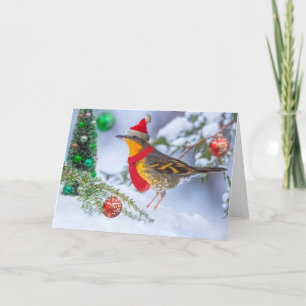 Cartão De Festividades Varia no Natal
