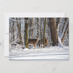 Cartão De Festividades Veado no Parque Municipal de Snowy Eagle Creek