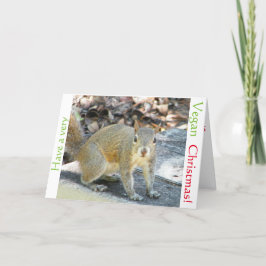 Cartão De Festividades Vegan squirrel Christmas card