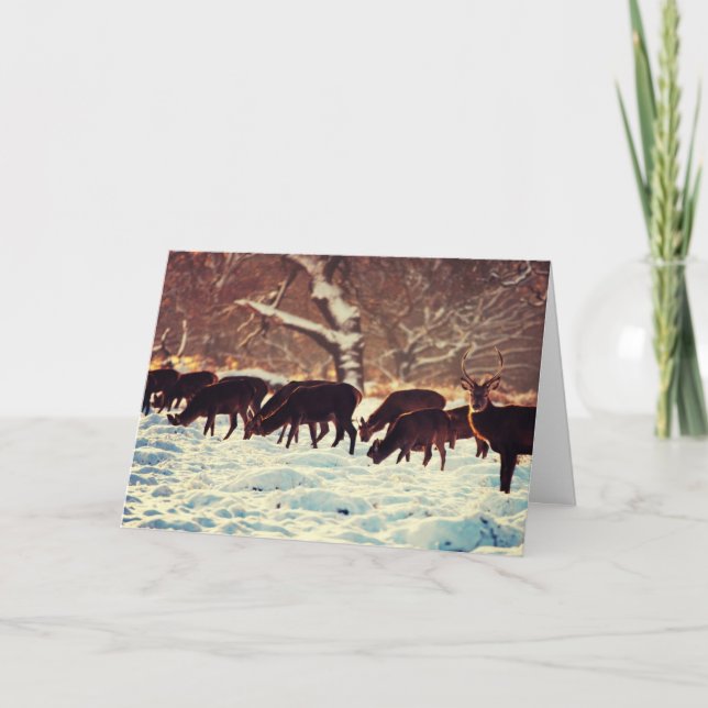 Cartão De Festividades Vendedor de Natal (Frente)