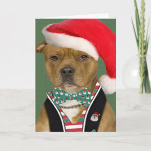 Cartão De Festividades Vestidos Pitbull para Papais noeis