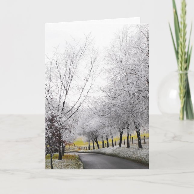 Cartão De Festividades Viagem congelada (Frente)