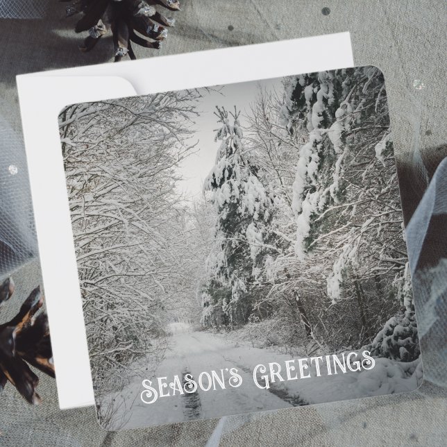 Cartão De Festividades Viagem de inverno pela floresta (Criador carregado)