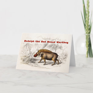Cartão De Festividades Vintage 1800s o Red Nosed Warthog Hogs