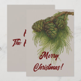 Cartão De Festividades Vintage Pinecones Feliz Natal