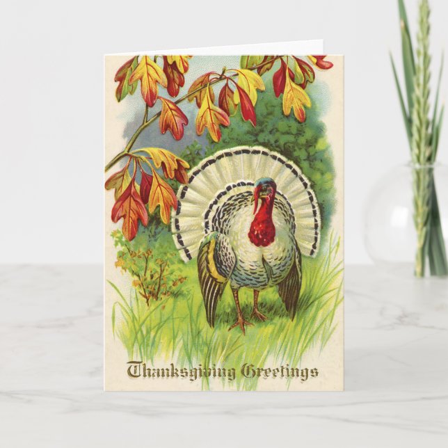Cartão De Festividades Vintage Thanksgiving Turkey (Frente)