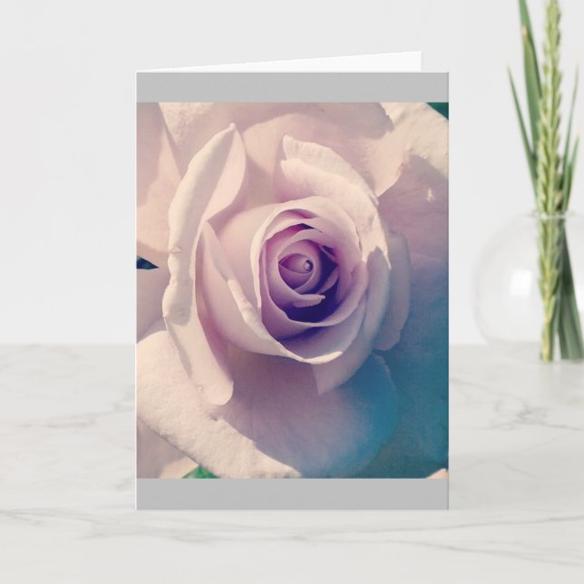 Cartão De Festividades Violet Rosa (Frente)