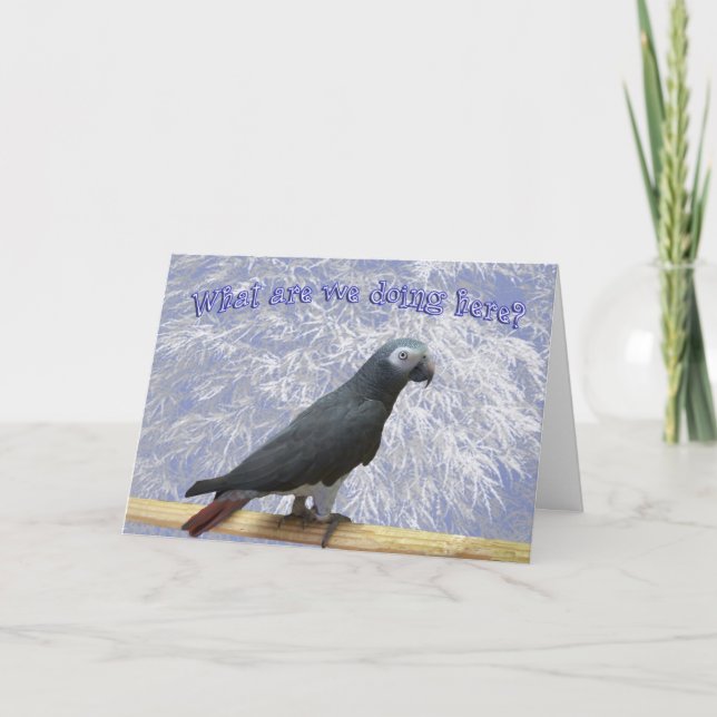 Cartão De Festividades Voando para o Sul (Frente)