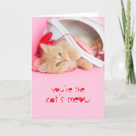 Cartão De Festividades Você é o namorados de miado de gatinho