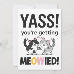 Cartão De Festividades Você Está Me Encatando Gato Divertido Casamento Ca
