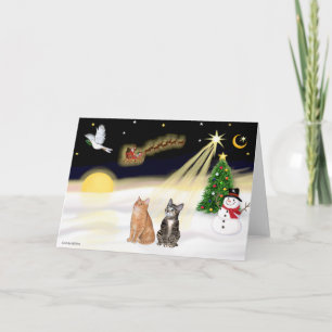 Cartão De Festividades Voo Noturno - Dois Gatos Tabby