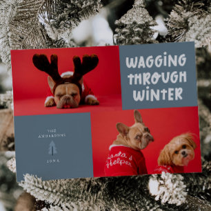 Cartão De Festividades Wagging Through Winter Slate Blue Pet Photo
