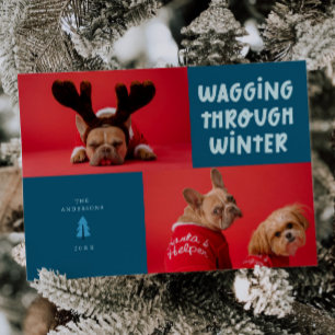 Cartão De Festividades Wagging Through Winter Teal Pet Photo