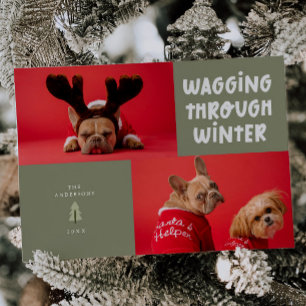 Cartão De Festividades Wagling Through Winter Sage Green Pet Photo