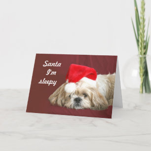 Cartão De Festividades Waiting for Santa