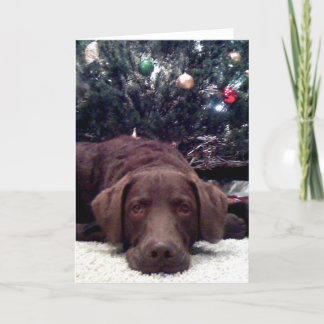 Cartão De Festividades Waiting for Santa