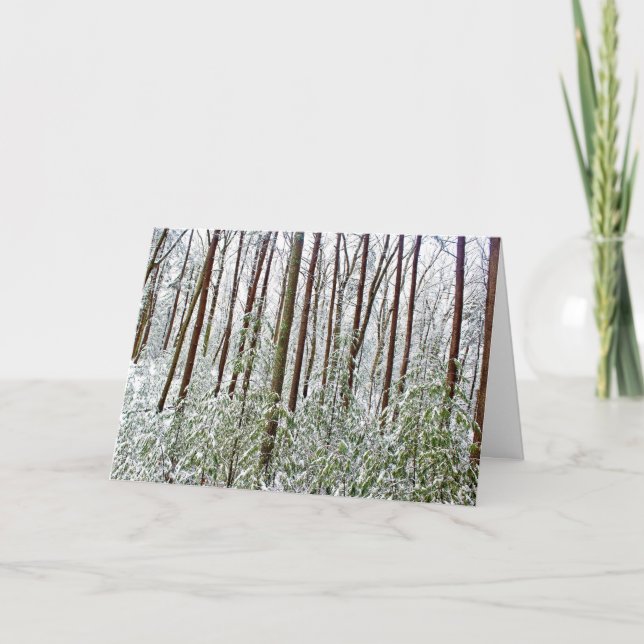 Cartão De Festividades *Walden Pond: Holiday- Silence- A-Universal Refuge (Frente)