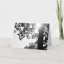 Walking in the Sun note card w/envelop