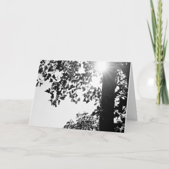 Cartão De Festividades Walking in the Sun note card w/envelop (Frente)