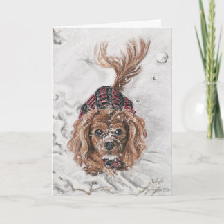 Cartão De Festividades Want to Play?