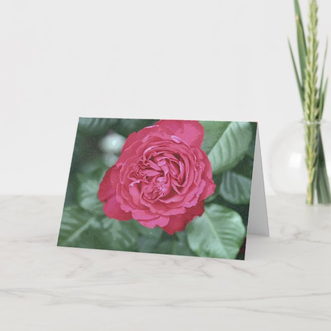 Cartão De Festividades We heal together as we love (Frente)