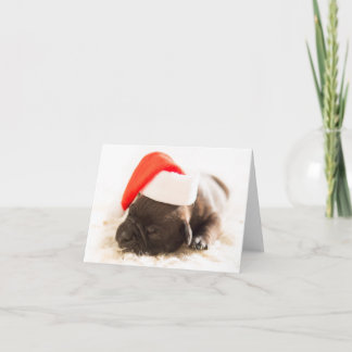 Cartão De Festividades Weihnachtswelpe