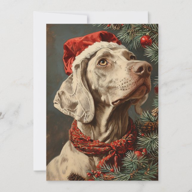 Cartão De Festividades Weimaraner Christmas (Frente)