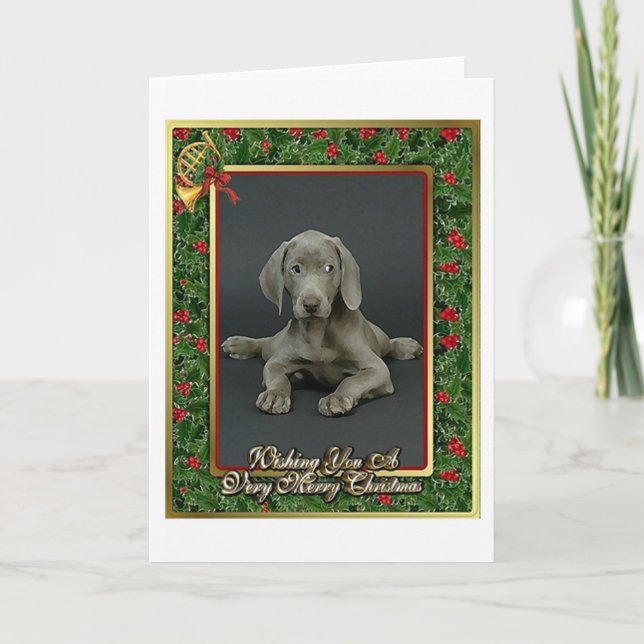 Cartão De Festividades Weimaraner Dog Blank Christmas Card (Frente)