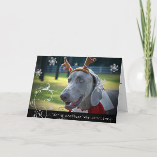 Cartão De Festividades Weimaraner Nation :"Not A Creature was Stirring.."
