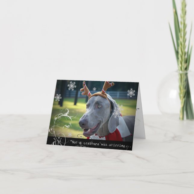 Cartão De Festividades Weimaraner Nation: "Not a creature was stirring... (Frente)