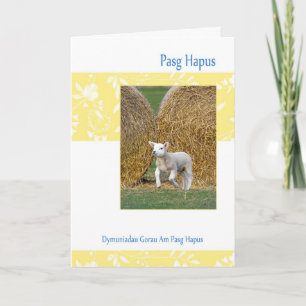 Cartão De Festividades Welsh Pasg Hapus, Easter Card With Spring Lamb
