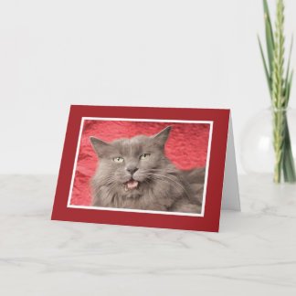 Cartão De Festividades We're Purrfect for Eachother - Customized