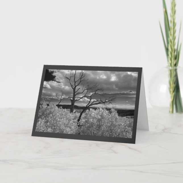 Cartão De Festividades Western Tree with dark grey border (Frente)
