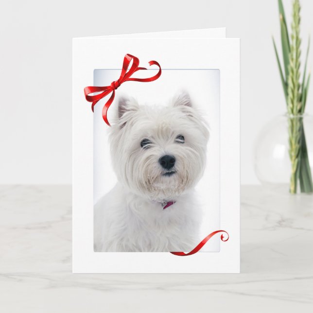 Cartão De Festividades Westie Christmas Card (Frente)