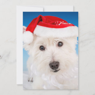 Cartão De Festividades Westie com Santa Chapéu e Barba