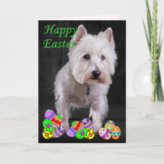 Cartão De Festividades Westie Happy Easter