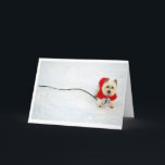 Cartão De Festividades westie in red coat<br><div class="desc">westie in winter coat</div>